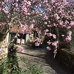 Vakantiehuis Manoir De Champvert *
