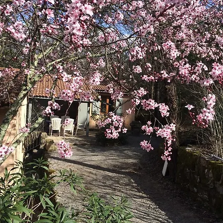 Holiday home Manoir De Champvert *